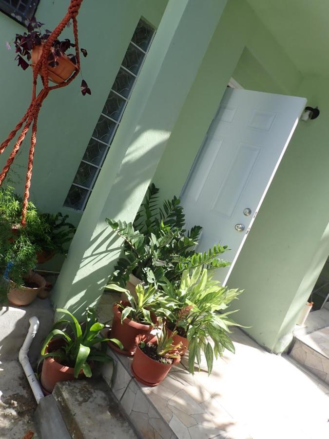 Urban Oasis Apartment Castries Buitenkant foto